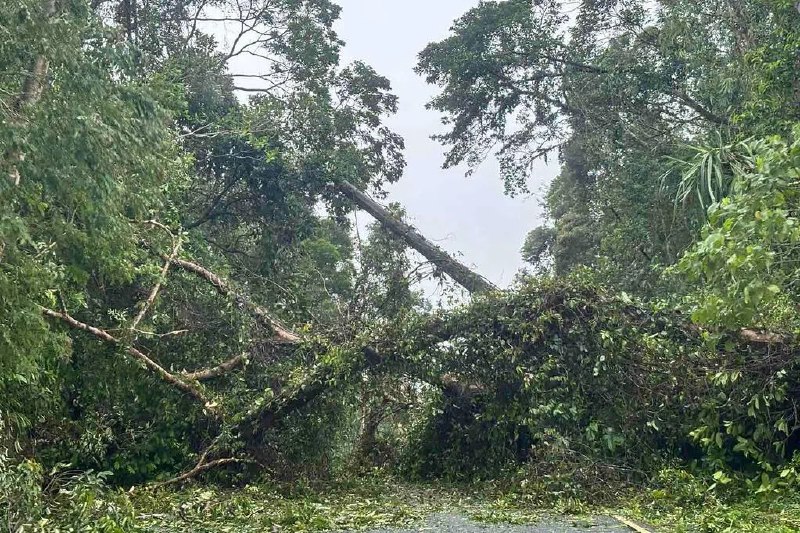 台风“海鸥”给菲律宾带来强风暴雨 逾7万人紧急撤离台风“海鸥”星期二（11月4日）在菲律宾中部登陆后增强