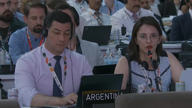 COP30加时落幕气候适应触礁 “小孩拿糖”论引交锋全球气候协商加时谈判逾18个小时，各方在闭幕会议上同意让步，不在最终协定中加入“淘汰化石燃料”的措辞