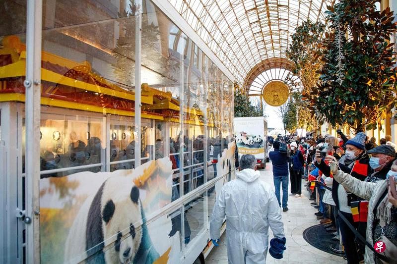 比利时三只大熊猫送回中国 粉丝冒寒风送别在比利时动物园出生的三只大熊猫“天宝”、“宝弟”和“宝妹”送回中国，标志着两国大熊猫保护项目的重要里程碑