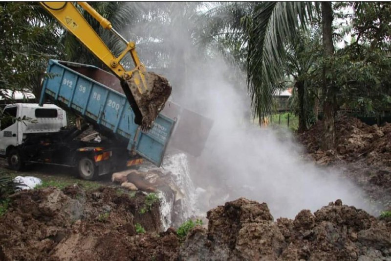 感染非洲猪瘟 雪兰莪将扑杀7.6万只病猪（沙亚南综合讯）雪兰莪州兽医局说，今年1月28日以来，州内114家养猪场的约25万头猪之中，有56家养猪场的约7万6000头猪感染非洲猪瘟