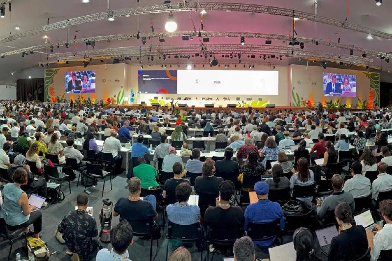 COP30通过折中气候协议 未包含化石燃料条款经过两周激烈辩论，第30届联合国气候变化大会（COP30）达成一项折中气候协议，增加对贫困国家的资金支持