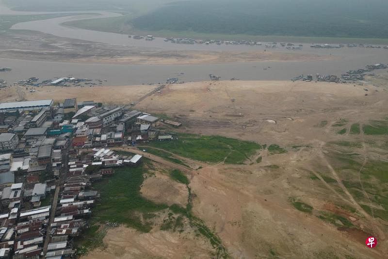 亚马逊雨林消失面积为德法总和 南美干旱野火加剧专家说，过去40年，亚马逊雨林因砍伐而消失的面积相当于德国和法国的面积总和，并且加剧了肆虐南美洲的干旱和破纪录野火