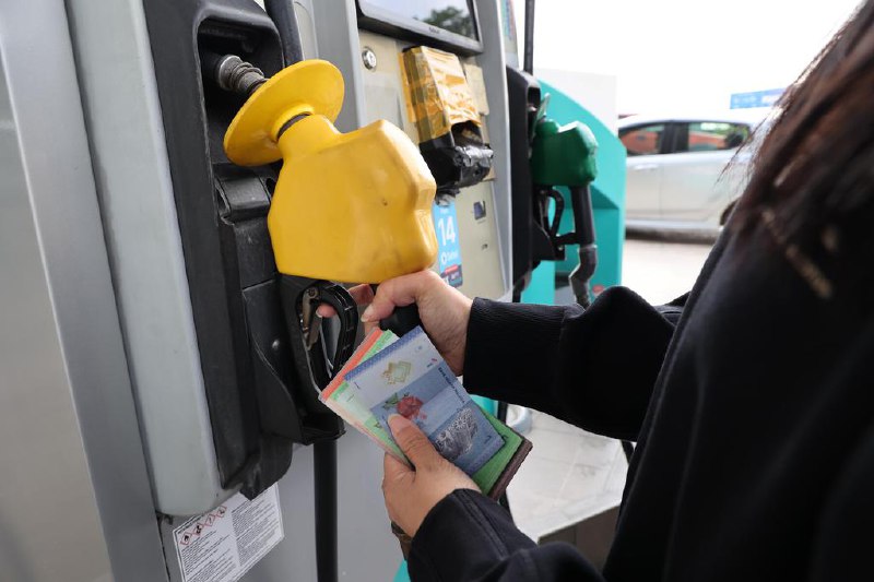 马国将用PADU系统推行RON95汽油针对性补贴马来西亚财政部透露，政府将根据主要数据库系统（Pangkalan Data Utama，简称“PADU”）的数据，作为推行RON95汽油针对性补贴的主要依据