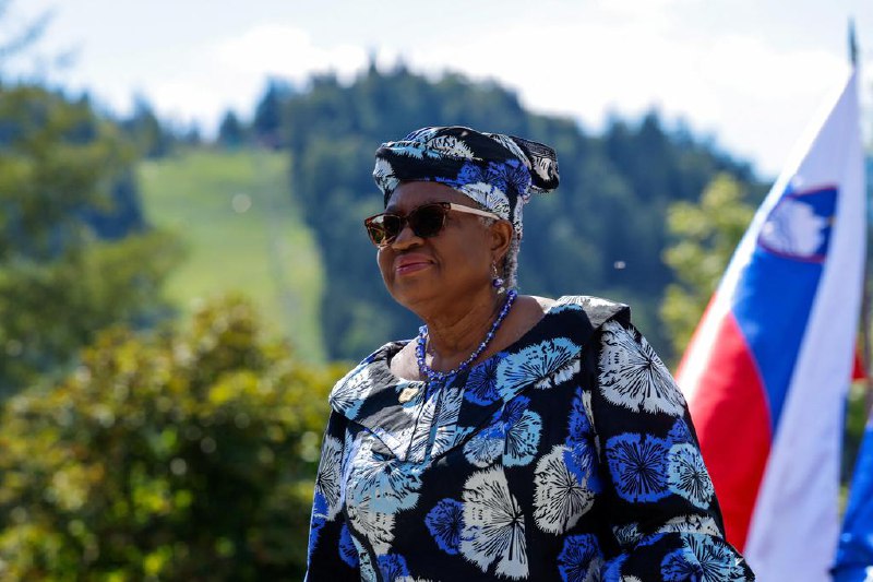 世贸贸易总干事呼吁加强全球贸易基础世界贸易组织总干事伊维拉说，全球贸易必须建立在更坚实的基础之上