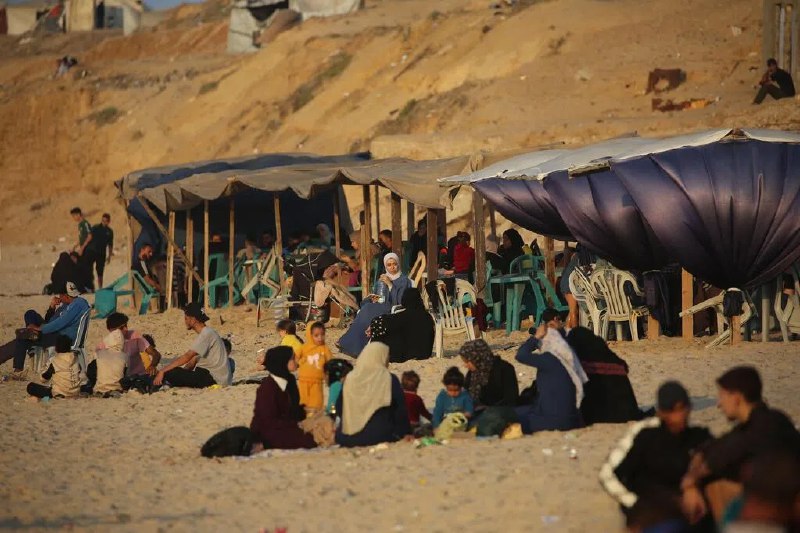 以哈冲突死亡人数近7万 停火后仍增数百人伤亡加沙地带卫生部门发声明说，自2023年10月7日新一轮巴以冲突爆发以来，以军在加沙地带军事行动导致的死亡人数累计超过6.9万人