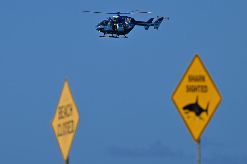 冲浪者遭大白鲨袭击致死 澳洲出动无人机监控水域澳大利亚发生冲浪者被大白鲨袭击致死事件后，当局部署无人机和一架直升机，监控悉尼一处热门海滩周围的水域