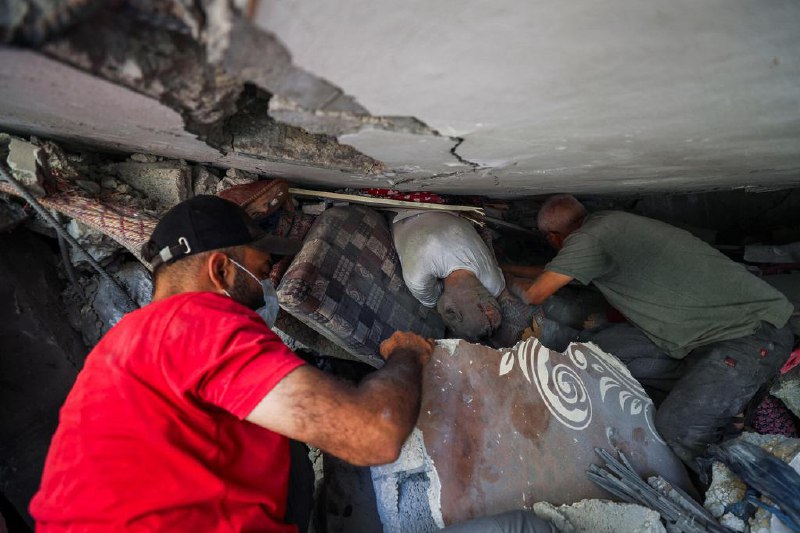 欧盟：以色列尚未全面执行加沙援助协议欧盟人道援助事务专员拉比卜说，以色列虽已采取部分积极措施，但尚未完全落实与欧盟就加沙人道物资运输达成的协议