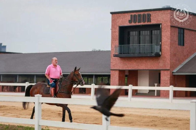 马国元首骑马步行实践健康生活马来西亚国家元首苏丹依布拉欣身体力行实践健康生活方式，将骑马和步行作为日常的健身活动之一