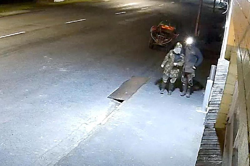 新西兰男子携三孩逃亡四年 盗窃潜逃路上遭警方击毙新西兰一名男子与前伴侣产生争执后，携三个孩子潜逃将近四年，其间犯下多起罪行，最终于星期一（9月8日）在北岛藏匿地被警方击毙