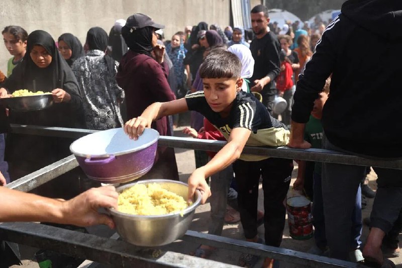 联合国：停火至今已供粮给百万加沙民众（加沙讯）联合国星期二（11月4日）说，自以哈停火以来，他们已向加沙地带100万人分发了粮食包裹