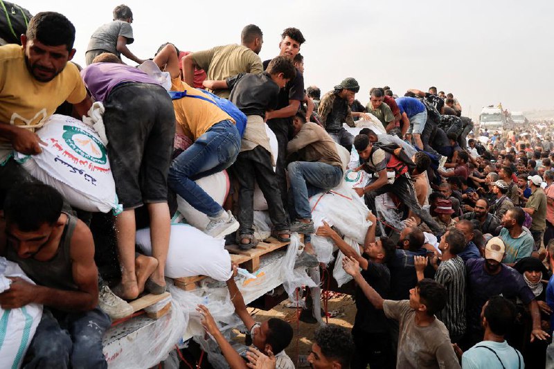 加沙官员称以色列加剧空袭力度 造成数十人丧命加沙民防人员星期二（8月12日）称，以色列近日加大对加沙的空袭力度，至少有49人在冲突中丧命