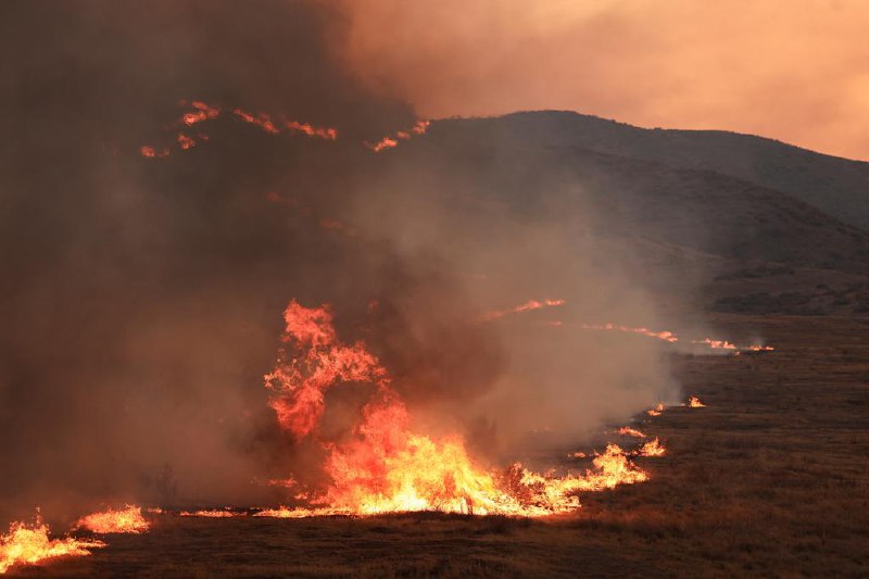 美国加州野火三天烧毁2万8000公顷土地美国加利福尼亚州一场持续三天的大型野火，已经烧毁超过2万8000公顷土地，数百名消防员正奋力控制火势