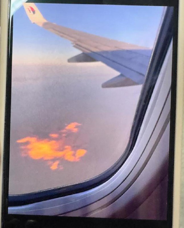 马航飞机引擎起火被迫返航 无人受伤一架马航飞机疑似遭到鸟击引发引擎起火，被迫返航，无人受伤