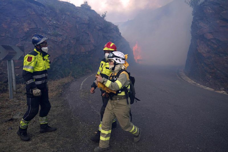 西班牙官员：山火已基本受到控制（马德里讯）西班牙民防和紧急服务部门负责官员巴尔科内斯周六（8月23日）表示，本月席卷全国的山火已经基本得到控制