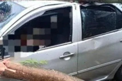 吉隆坡树倒一死一伤星期三（10月22日）下午的狂风暴雨，导致吉隆坡三个地点有大树倒下压中汽车，造成一人死亡，一人受伤