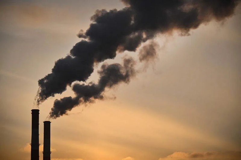 欧盟气候监测机构基本确定 今年为有记录以来第二热年欧盟气候监测机构发布的公报显示，根据今年前11个月的气温数据基本可以确定，2025年将与2023年并列，成为有相关记录以来第二热年份，仅次于2024年