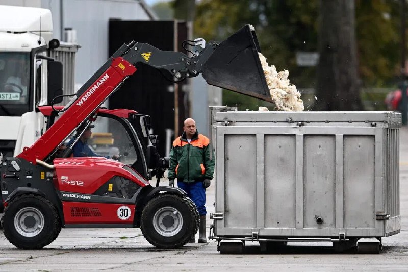德国禽流感疫情加剧 近百万只禽类被扑杀德国负责动物健康事务的弗里德里希·洛夫勒研究所说，德国禽流感疫情持续加剧，已有近100万只鸡、鸭、鹅和火鸡等禽类被扑杀处理