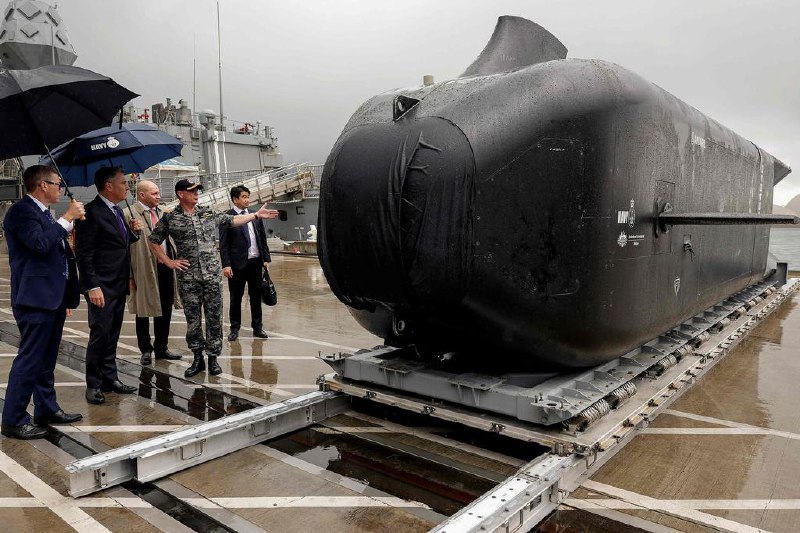 澳洲斥巨资研发自主水下无人潜航器“幽灵鲨”澳洲副总理马尔斯宣布，澳洲将投资17亿澳元（约14亿新元），研发并制造远程自主水下无人潜航器“幽灵鲨”，以强化海军作战能力