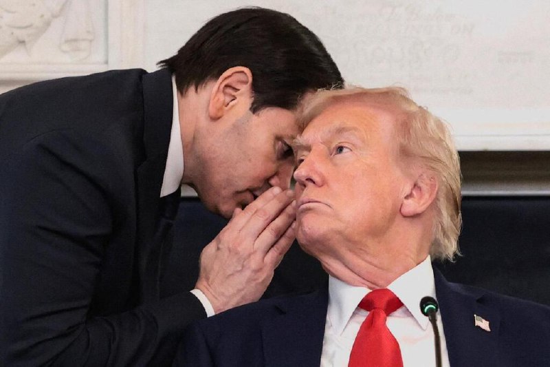 以哈停火协议接近达成 特朗普：本周末可能前往中东美国总统特朗普星期三说，鉴于正在埃及举行的加沙地带停火谈判“非常接近”达成协议，他可能于本周末前往中东