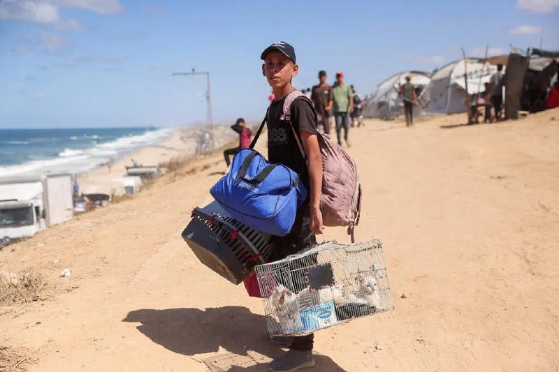 德国总理公布多项措施 推动加沙重建德国总理默茨说，加沙地带停火对中东乃至更广阔地区的人民来说都是好消息