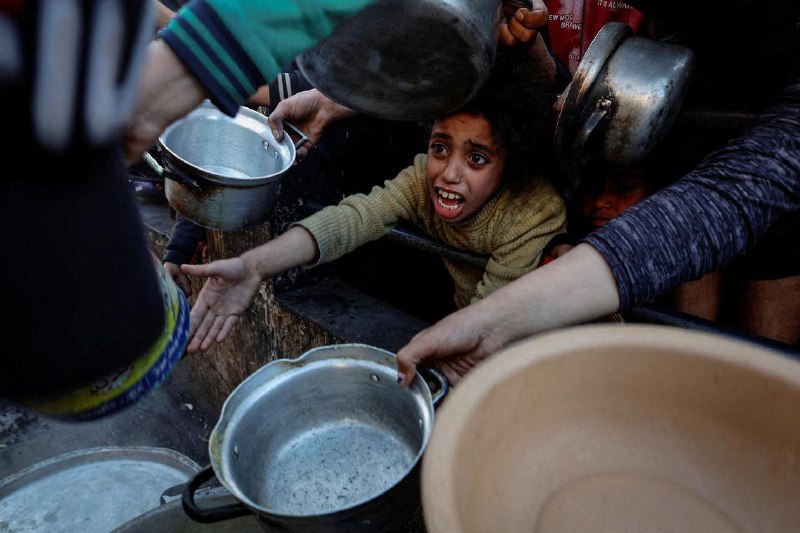 加沙援助严重受阻 两个月仅12辆卡车分发物资慈善组织乐施会（Oxfam）指出，过去两个半月内，仅有12辆卡车成功在北加沙地带分发食品和水，反映出加沙地区的粮食危机可能已濒临崩溃