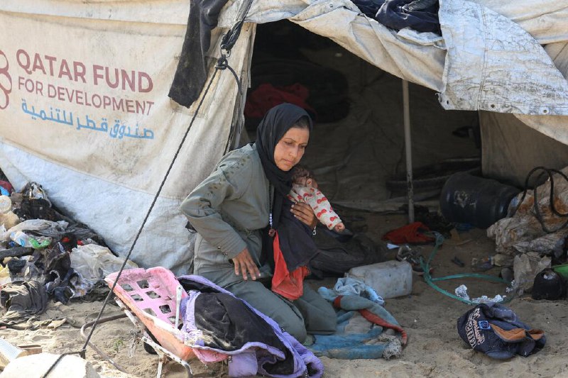 哈马斯：埃及将主办加沙未来问题会议巴勒斯坦伊斯兰抵抗运动（哈马斯）一名高级官员说，在哈马斯同意根据美国的停火计划释放人质后，埃及将组织巴勒斯坦各派别举行会议，共同商定加沙地带战后的未来