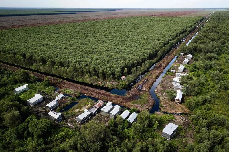 2024年大气二氧化碳浓度和增幅均达历史新高世界气象组织发布的最新《温室气体公报》显示，2024年大气中的二氧化碳浓度升至历史新高，并且相比于2023年的增幅写下新纪录