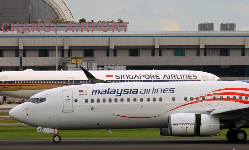 病假期间爬树踢藤球 马航货运员工被揭发遭解雇一名马航货运员工被发现在病假期间爬树、使用重型机械砍树和踢藤球，结果遭到公司解雇