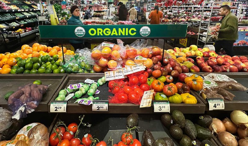 专家：均衡饮食更关键 无需执着于有机标签有机蔬果的价格通常较高，但营养学专家指出，若预算有限，不必担忧，因为普通食品与有机食品的营养价值基本一样，最重要的是保持一种均衡摄入蔬果的健康饮食模式