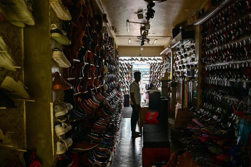 猴子闯斯里兰卡发电站 导致全国停电一只猴子闯入斯里兰卡发电站，导致全国停电