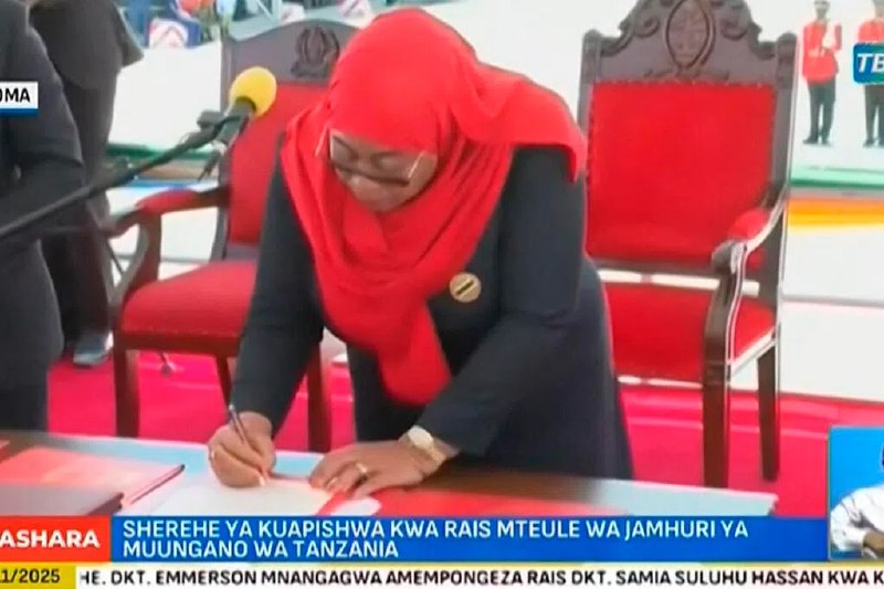 致命示威余波未平 坦桑尼亚总统哈桑宣誓就职坦桑尼亚因选举争议爆发大规模致命抗议活动后，总统哈桑宣誓就职，开启首个民选任期，承诺带领国家走出这场示威的阴影