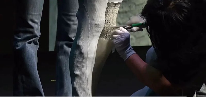 小鹏女机器人超逼真引质疑 何小鹏剪“肌肉”公开内部结构中国国产电动车品牌小鹏研发的人形女机器人IRON，星期三（11月5日）以“走猫步”的惊艳姿态亮相，引起舆论瞩目，部分网民质疑机器人里面“藏了真人”