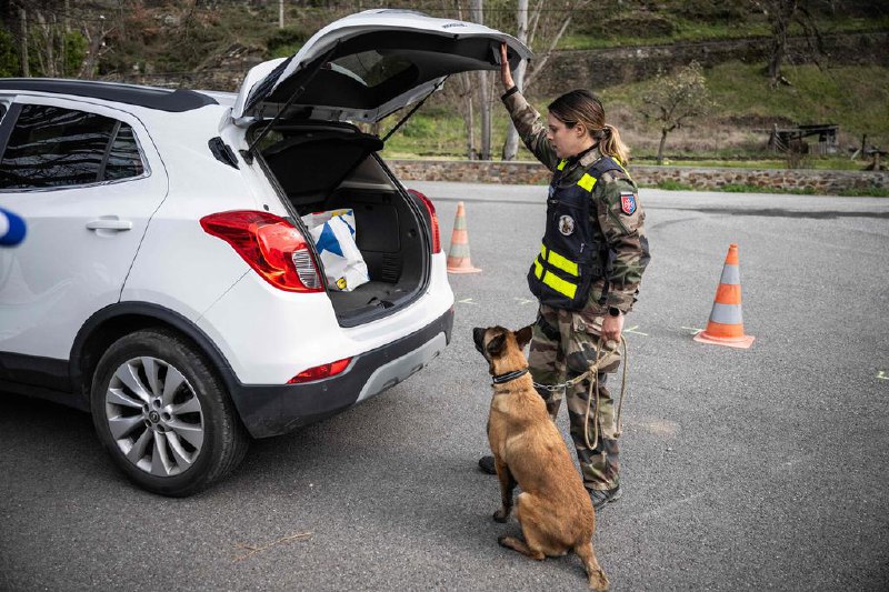 俄罗斯缴获藏在香蕉中的可卡因 价值近2亿元俄罗斯星期三（7月16日）说，在一批香蕉下查获了820公斤的可卡因
