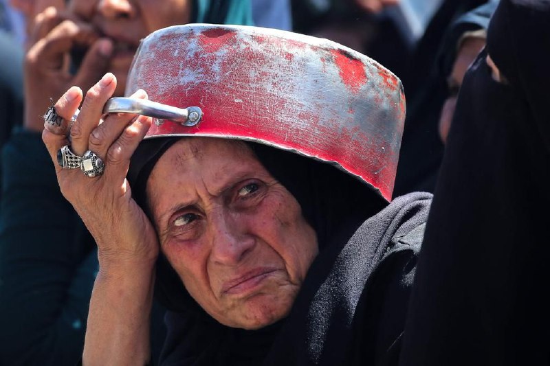 联合国粮农组织：加沙粮食生产已完全停滞联合国粮食及农业组织说，加沙地带逾八成农田遭到战争破坏，当地粮食生产已完全停滞