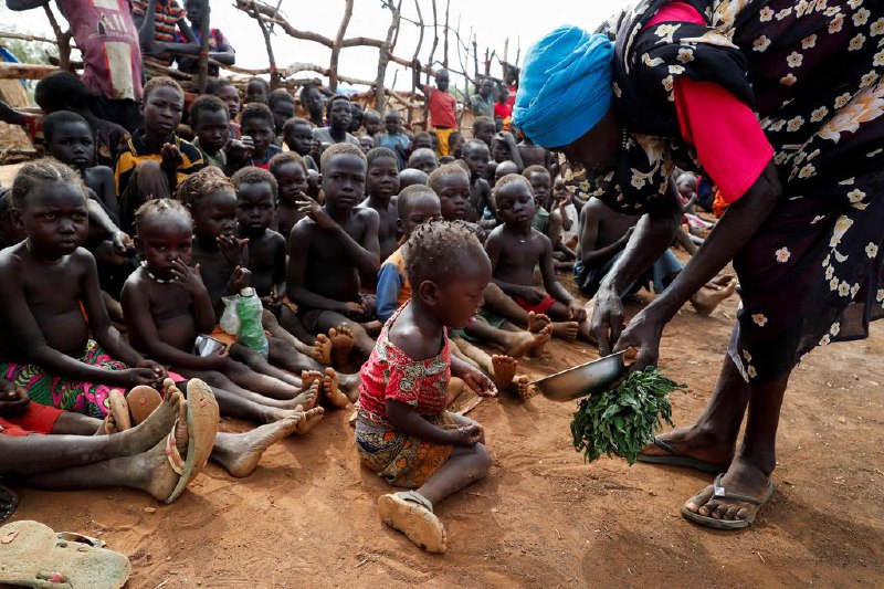 联合国报告显示全球冲突地区性暴力显著增长联合国机构星期四（8月14日）发布的报告显示，2024年全球冲突地区的性暴力事件显著增加，超过4600人沦为性暴力受害者，同比增长25%