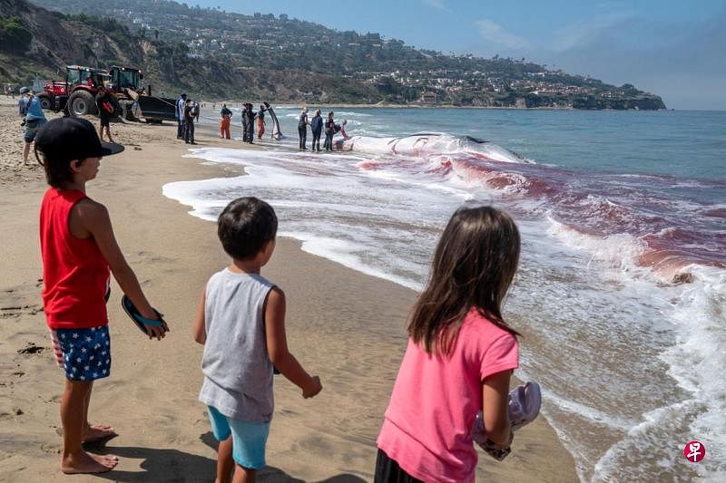 研究：冠病封锁期间 女孩大脑成熟速度远超预期研究人员对美国青少年大脑在冠病疫情封锁前后的发育情况进行了对比研究，结果发现女孩大脑的成熟速度远超预期，研究人员将此归因于社交隔离