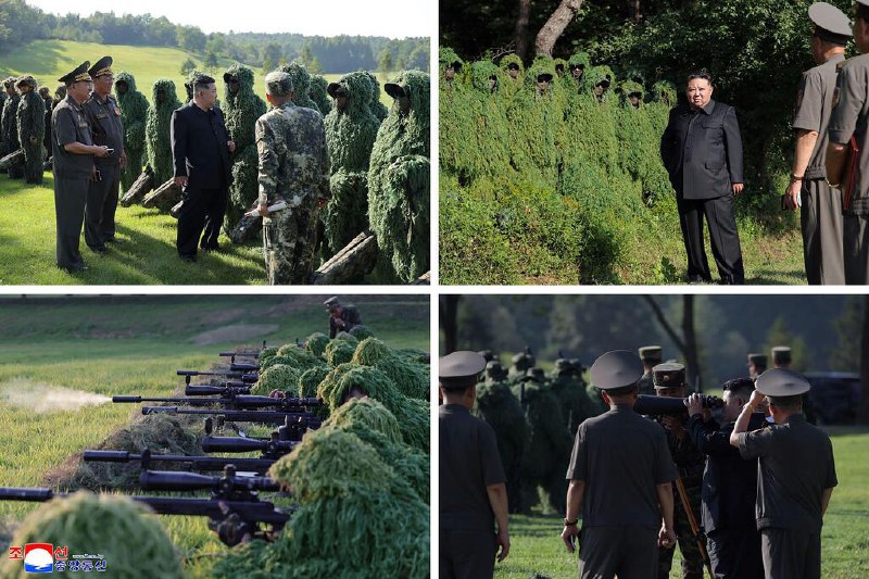 朝鲜驻联代表团：朝核武国家地位已永久确立朝鲜常驻联合国代表团说，朝鲜核武国家地位已永久确立，不可逆转